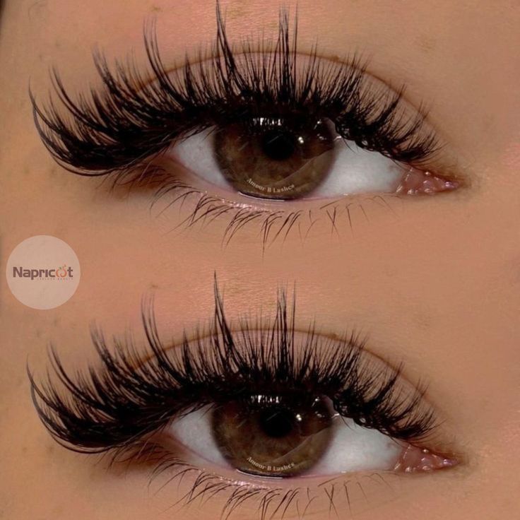 lashes
